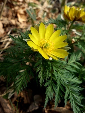 c0204725_16335427.jpg
