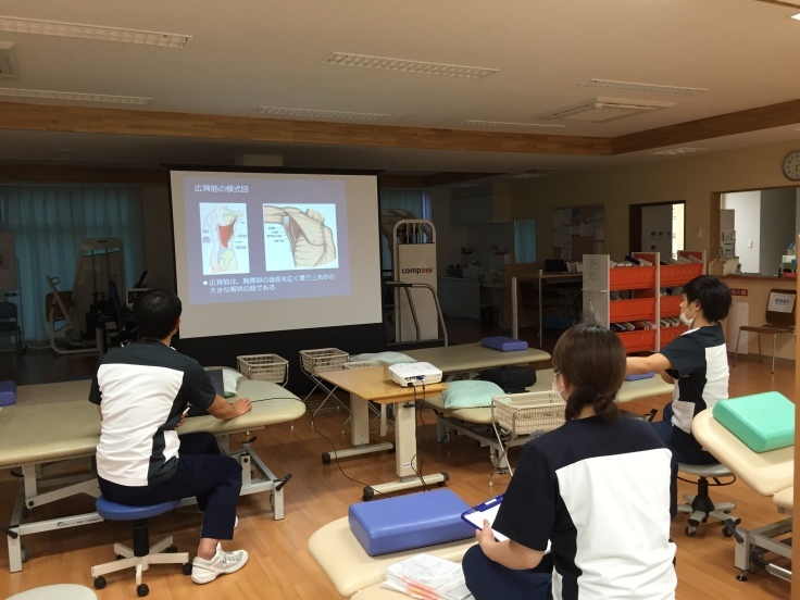 第119回TOC体表解剖勉強会 広背筋、大円筋_b0329026_19470106.jpeg