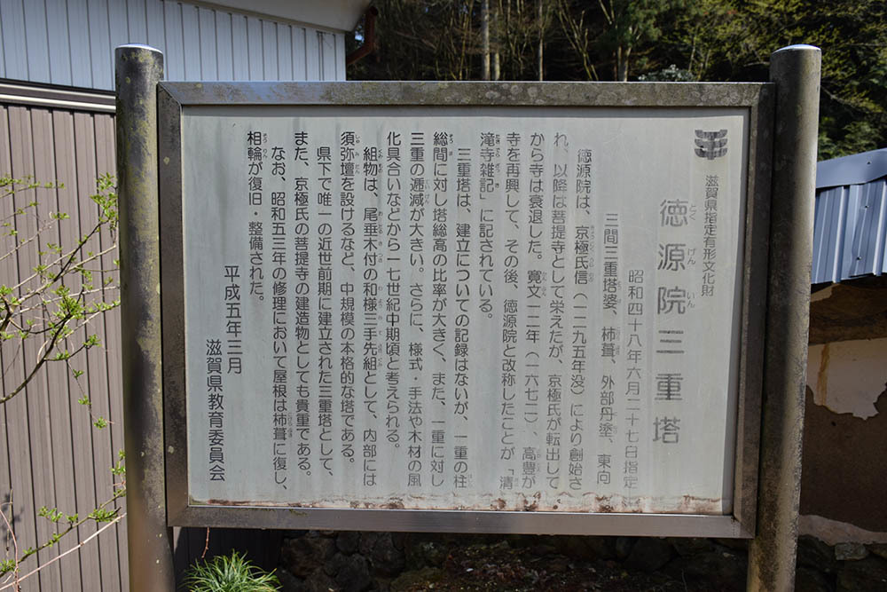 太平記を歩く。　その４３　「道誉桜（清瀧寺徳源院）」　滋賀県米原市_e0158128_20104466.jpg