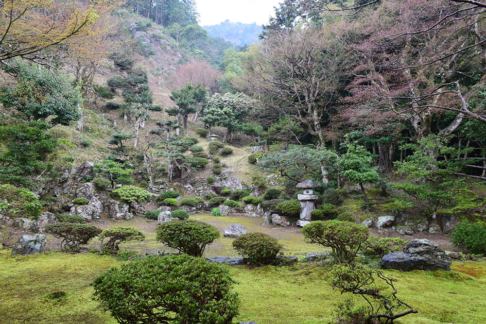 太平記を歩く。　その４３　「道誉桜（清瀧寺徳源院）」　滋賀県米原市_e0158128_20144390.jpg