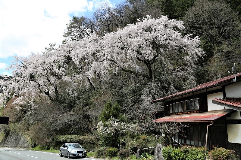 史上最強のB4_f0076731_17255584.jpg