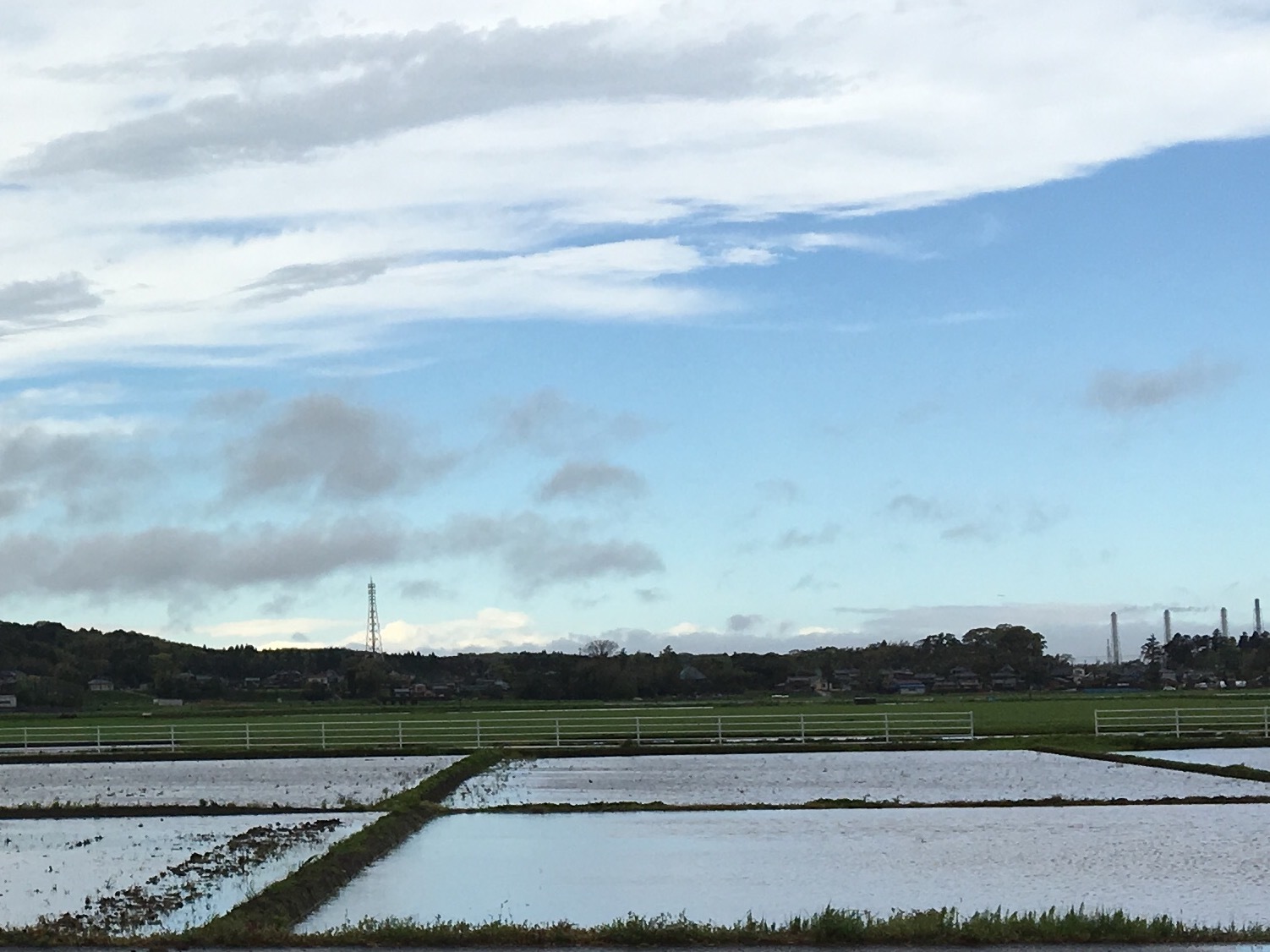 大草谷津田いきものの里…花の季節から虫の季節へ_b0330040_17475135.jpg