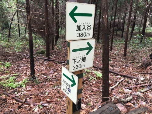 b0330040_18425779.jpg