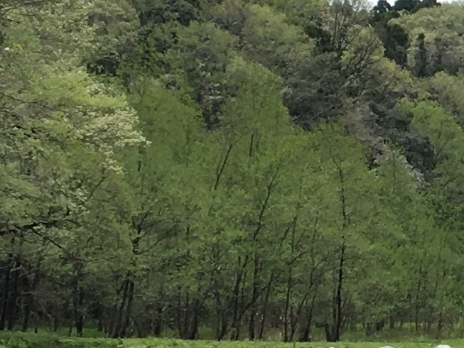 b0330040_21410097.jpg