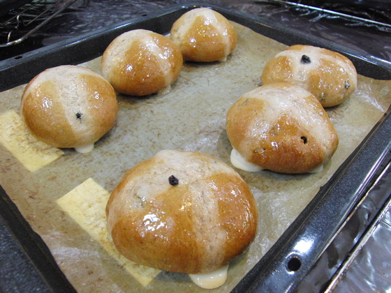 パンレク ~ ホットクロスバン ~_e0222340_1652212.jpg