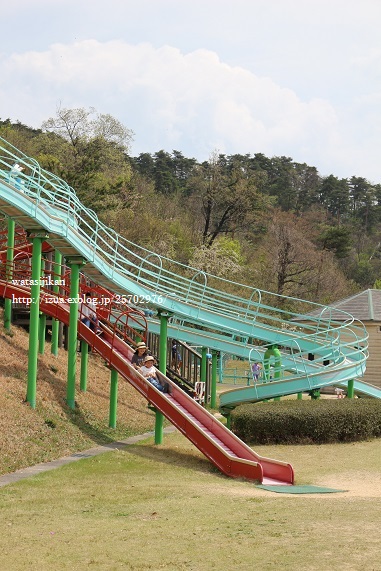 福井県の公園と名物_e0214646_1358959.jpg