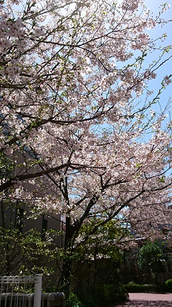 f0087347_21411075.jpg