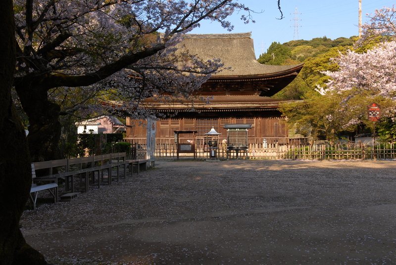 久しぶりに功山寺・六_e0354451_06222911.jpg