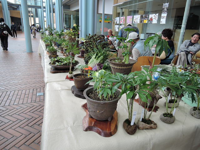 今年も行って来た花と緑フェス_a0144564_850338.jpg