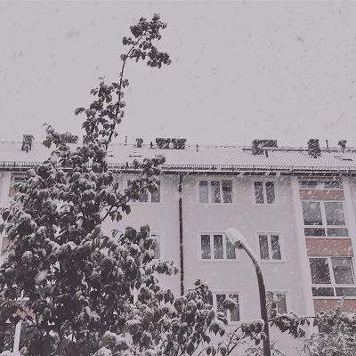 d0198667_21130124.png