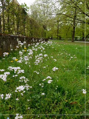 d0198667_21292301.png