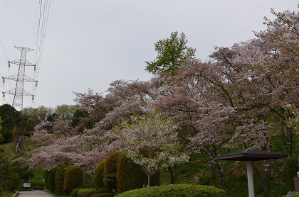 c0229483_001615.jpg