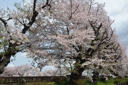 c0229483_1873114.jpg
