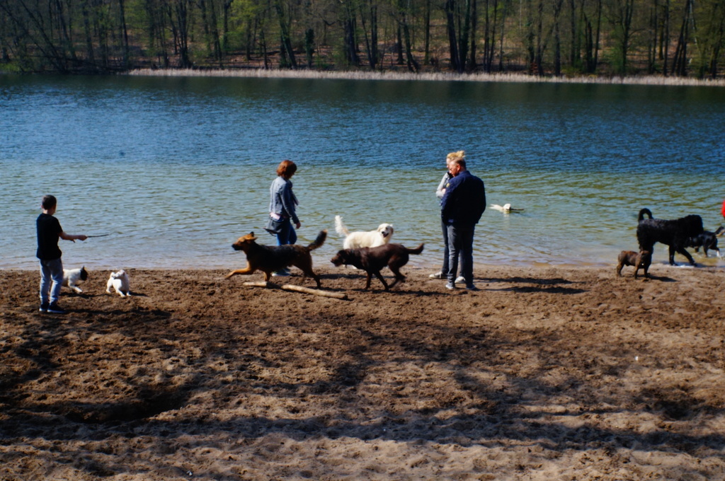 c0180686_00265540.jpg