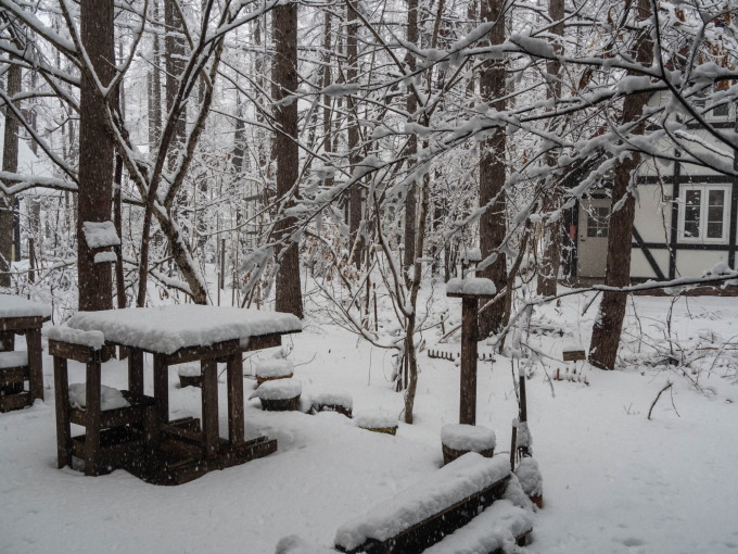 今年の冬は”しぶとい”ですね!また吹雪で積雪15センチ。_f0276498_23364633.jpg