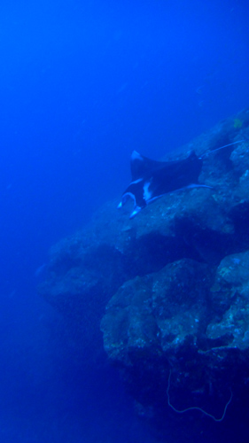 f0121701_15132167.jpg