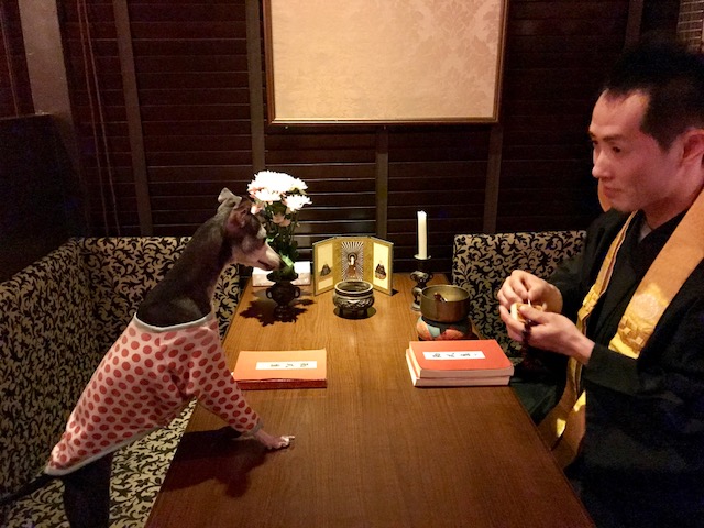 miumiuお経ナイト。『称Night~念仏~』第二幕。_a0050302_1230185.jpg