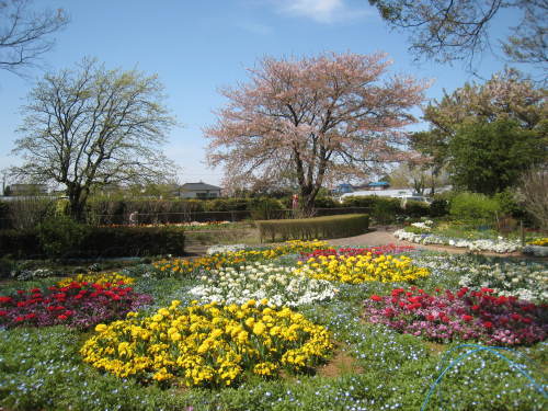 AKEBONOYAMA park_a0341504_18245400.jpg