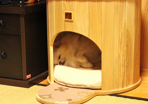 もう少し、あとちょっと_d0360206_12441378.jpg
