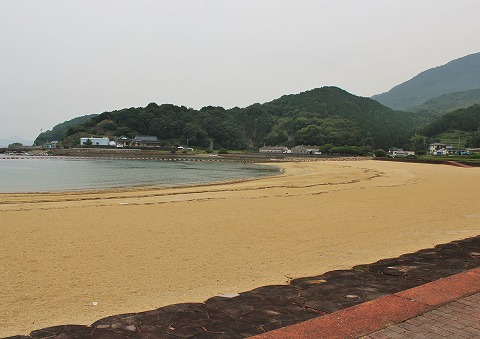 人気の海水浴場_d0360206_12462962.jpg