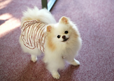 ニューカマー!!_d0360206_12472302.jpg
