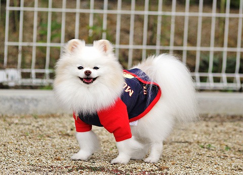 こっちがお似合い?_d0360206_12520485.jpg