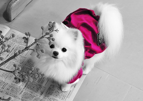 「お疲れさま」と「ありがとう」_d0360206_12551191.jpg