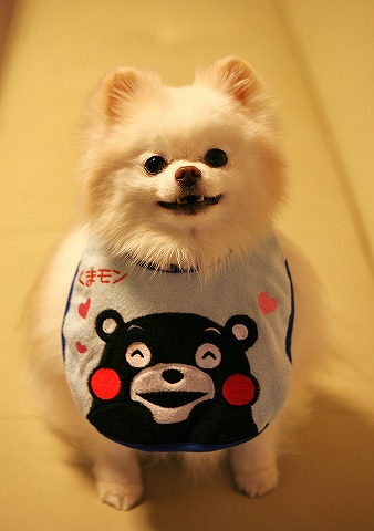 ナースなお仕事_d0360206_12561960.jpg