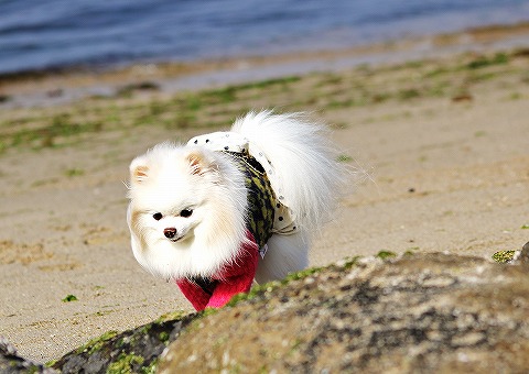 病院びより_d0360206_12591793.jpg