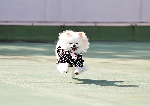 信じられないでしょ?_d0360206_12594929.jpg