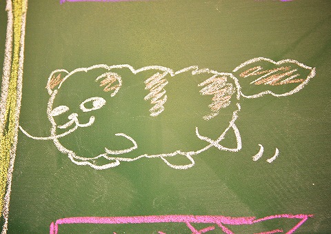 羽織袴とか画伯とか_d0360206_13014668.jpg