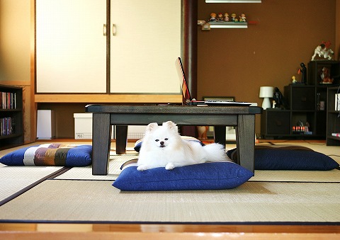 気分を変えたい、そんな時_d0360206_13015366.jpg