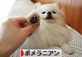 穏やかなこの時間を_d0360206_13020605.jpg