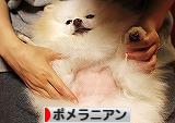 精密検査@2015年8月_d0360206_13022236.jpg