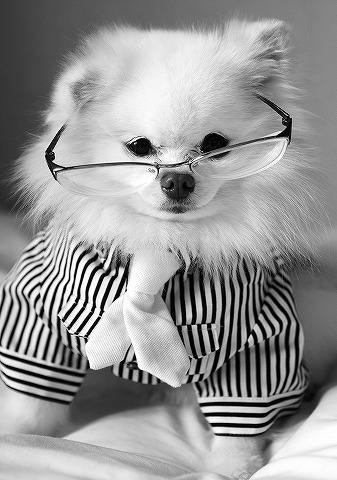 超絶似合う?似合わない?_d0360206_13025872.jpg