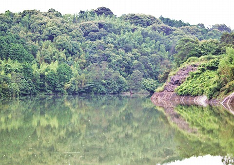 証拠写真は力わざで_d0360206_13042836.jpg