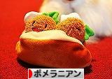 ゆきのとっておき!!_d0360206_13045073.jpg