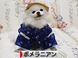 忘れた頃にコレクション_d0360206_13065297.jpg