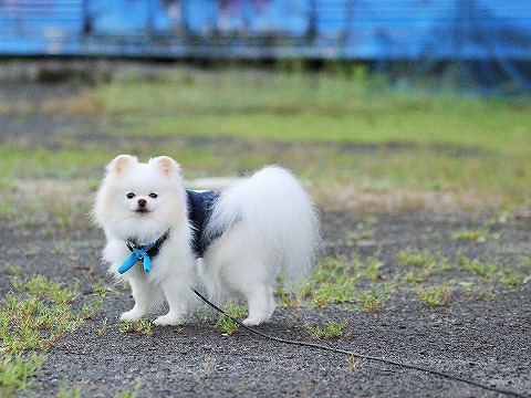 この日常の有難さ_d0360206_13080020.jpg