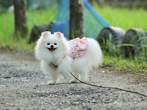 一抹の寂しさ_d0360206_13083715.jpg