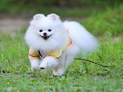 あれもこれも、大忙し_d0360206_13084116.jpg