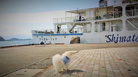 9歳にして初体験_d0360206_13084214.jpg