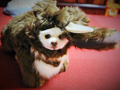 久しぶり、会いたかった_d0360206_13113974.jpg