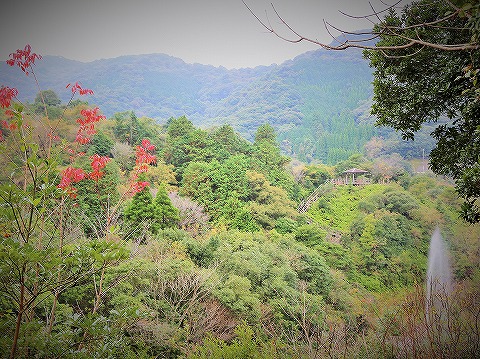 迷ったときは……_d0360206_13125440.jpg