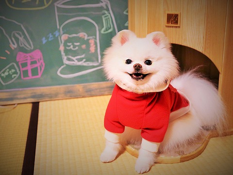 すっかり遅くなりまして_d0360206_13135551.jpg