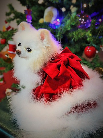 わたしからメリークリスマス_d0360206_13143474.jpg