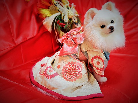 お正月には振袖三昧_d0360206_13151225.jpg