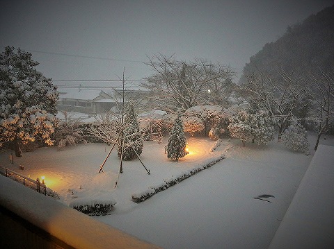 号外・速報・ゆきと雪_d0360206_13161318.jpg