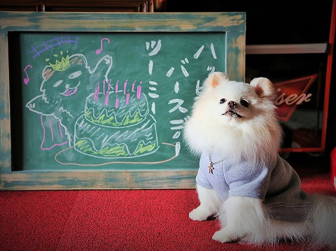 10歳の誕生日_d0360206_13163261.jpg