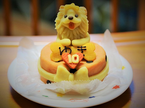 誕生日は大忙し_d0360206_13163598.jpg